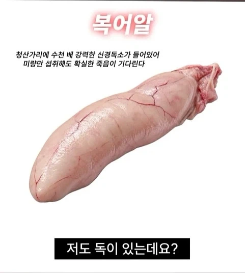 독성물질을 먹기위한 인류의 노력 - 이미지 8