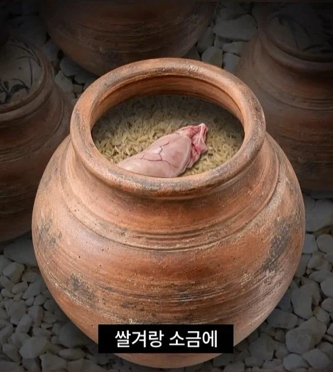 독성물질을 먹기위한 인류의 노력 - 이미지 9