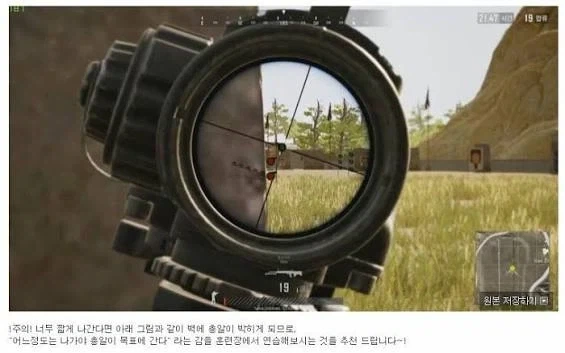 일부 게임유저들에게 보인다는 현상
