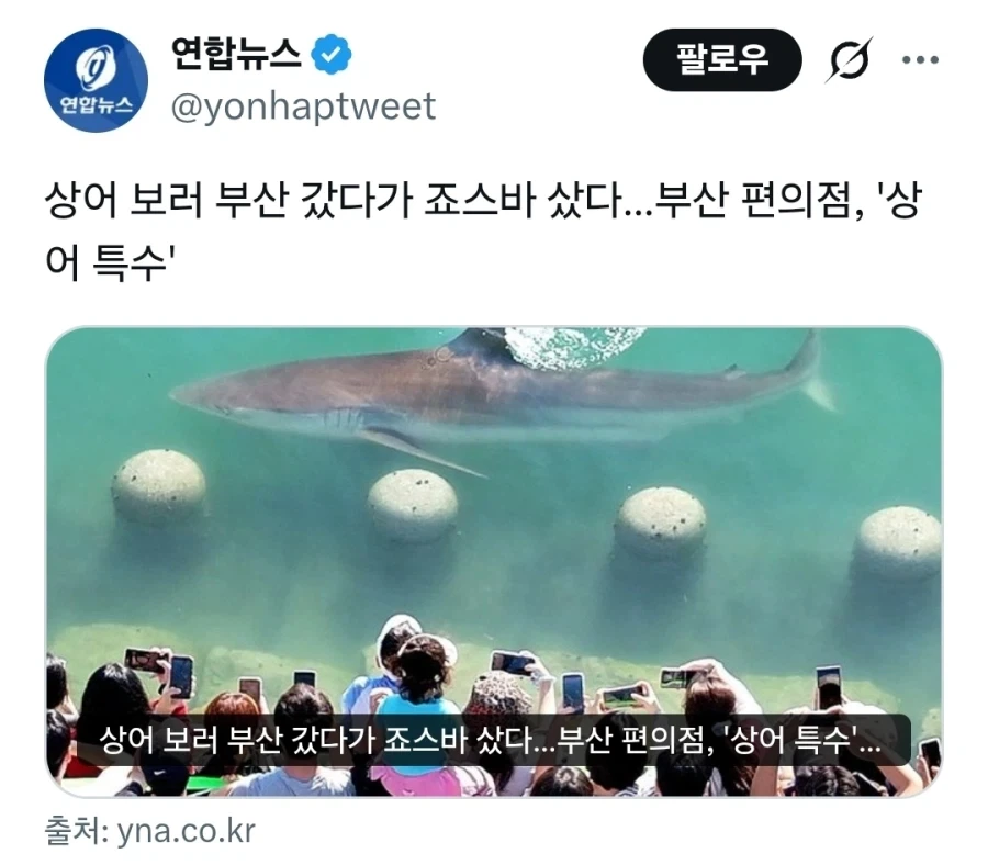 상어 덕분에 부산 편의점도 대박남