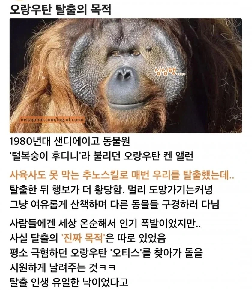 엘런이 멋대로 벽 밖으로 나간 이유