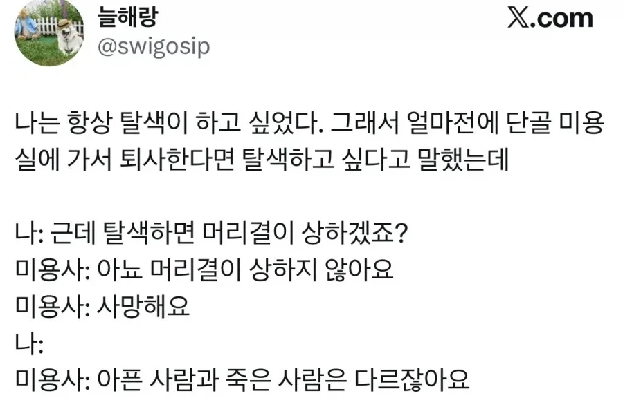 탈색한다고 머릿결이 상하는게 아니다.jpg