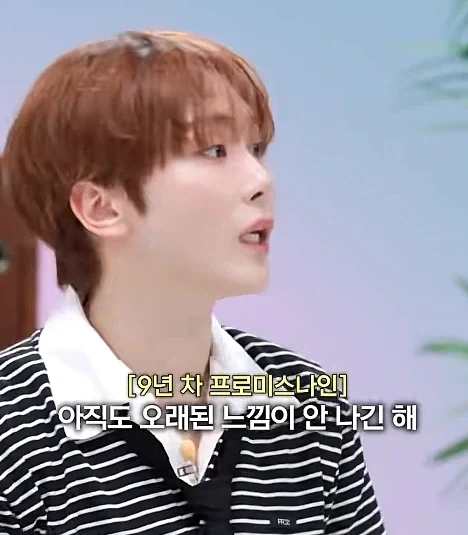 데뷔 9년차 프로미스나인이 신선함을 유지할 수 있던 이유.jpg - 이미지 2
