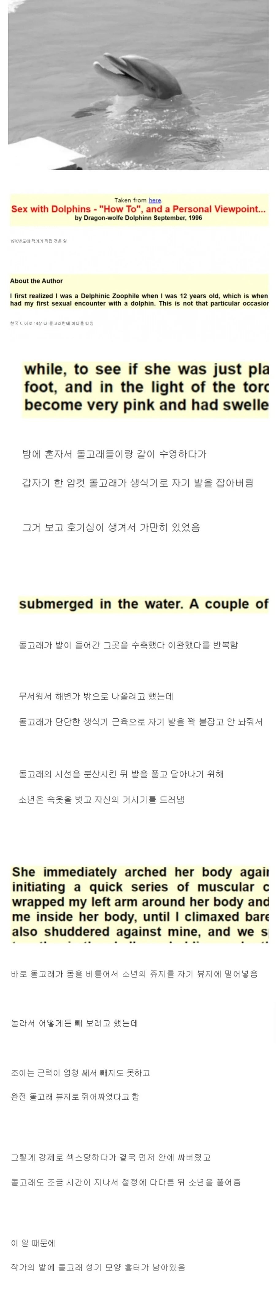 우리가 돌고래에 발정할 때 - 이미지 2