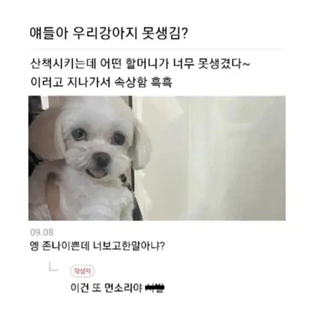 얘들아 우리 강아지 못생김?