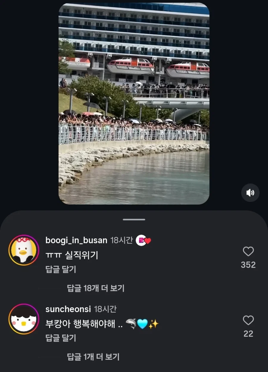 상어 출현으로 난리난 부산