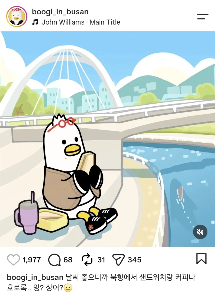 상어 출현으로 난리난 부산 - 이미지 2