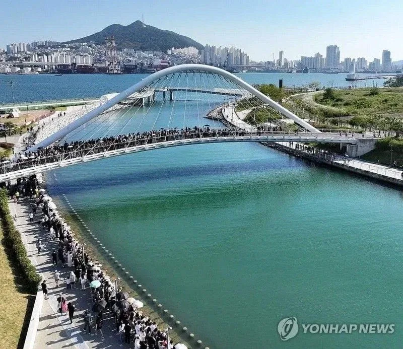 부산 무료상어쇼 - 이미지 5