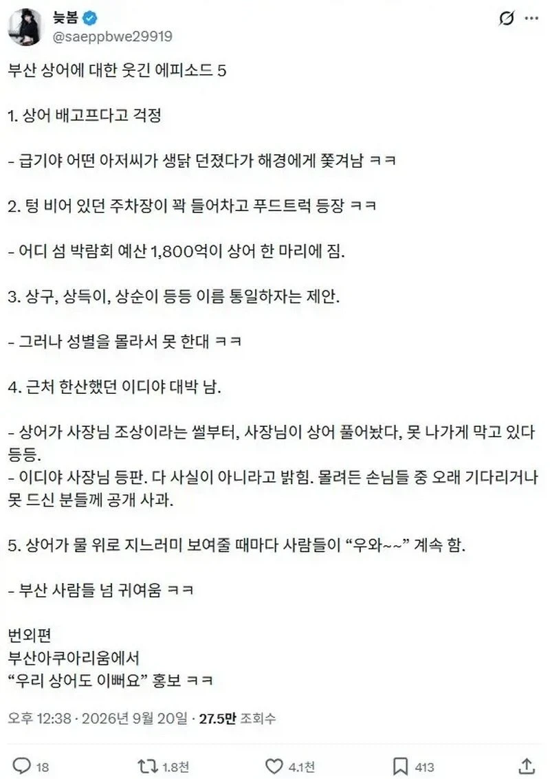 부산 무료상어쇼 - 이미지 6
