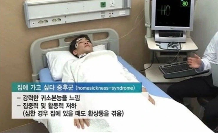 영국인 입맛이 그지 같은 이유