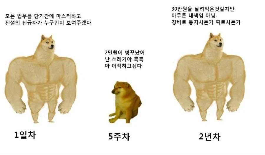 신입사원 멘탈 진화과정