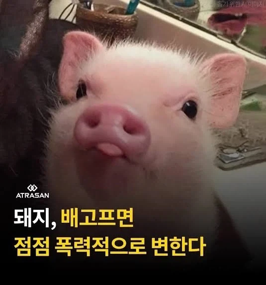 위고비 최소 20만원인데 그까짓꺼