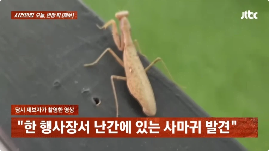 사마귀 사진 찍었는데 내 딸 찍은거 아니냐고 의심하는 아줌마.jpg - 이미지 5