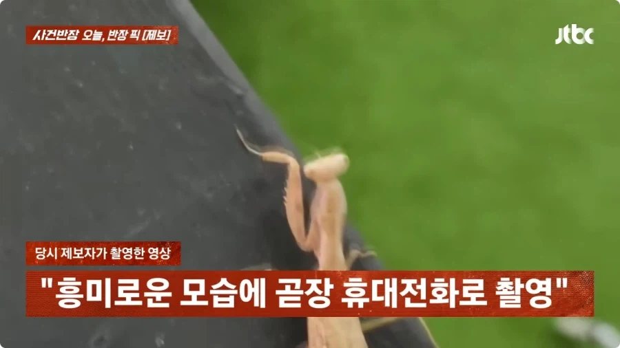 사마귀 사진 찍었는데 내 딸 찍은거 아니냐고 의심하는 아줌마.jpg - 이미지 6