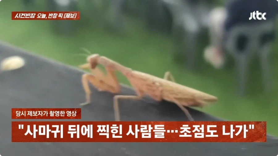 사마귀 사진 찍었는데 내 딸 찍은거 아니냐고 의심하는 아줌마.jpg - 이미지 13