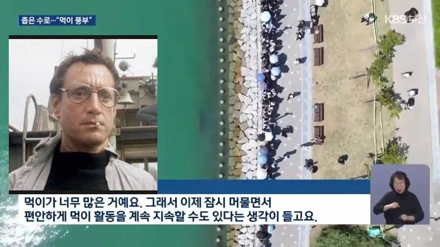 부산상어 우려를 표하는 전문가
