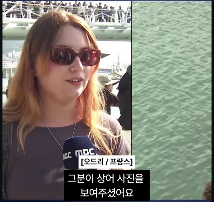 부산 상어 보러 온 프랑스인 - 이미지 2