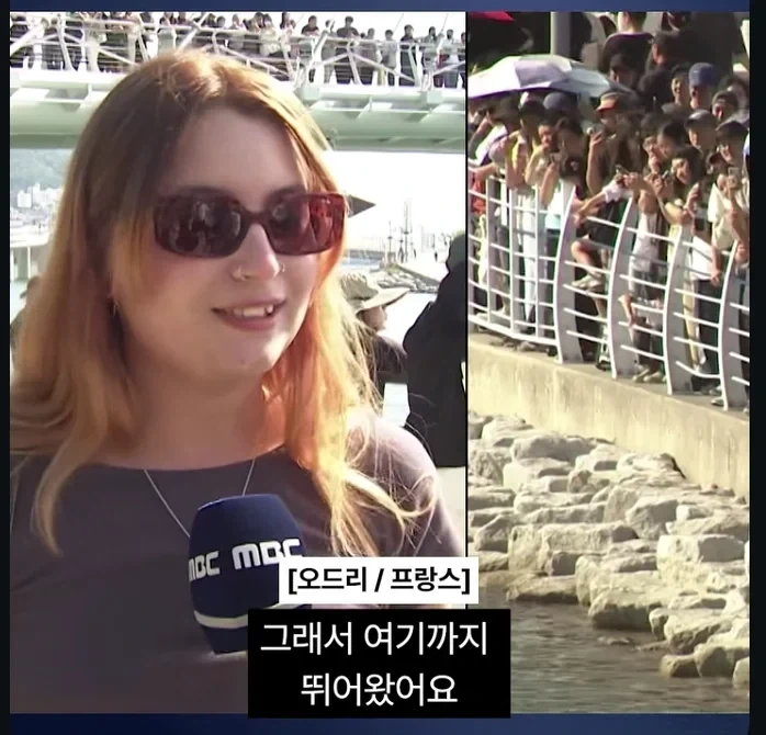 부산 상어 보러 온 프랑스인 - 이미지 4