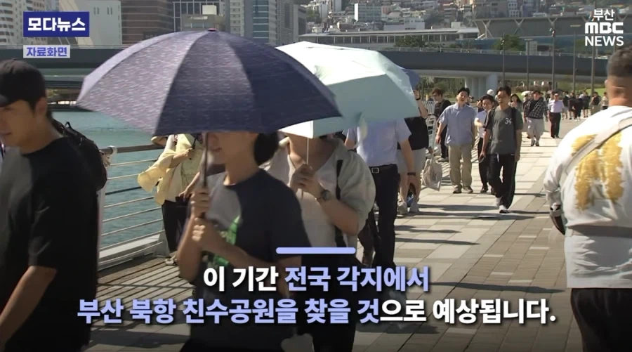 부산 상어 특수 존나 큰거 한발 남았다.jpg - 이미지 4