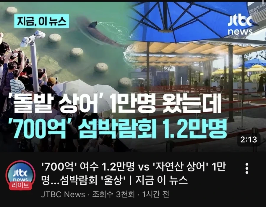 여수 섬박람회 vs 부산 상어쇼