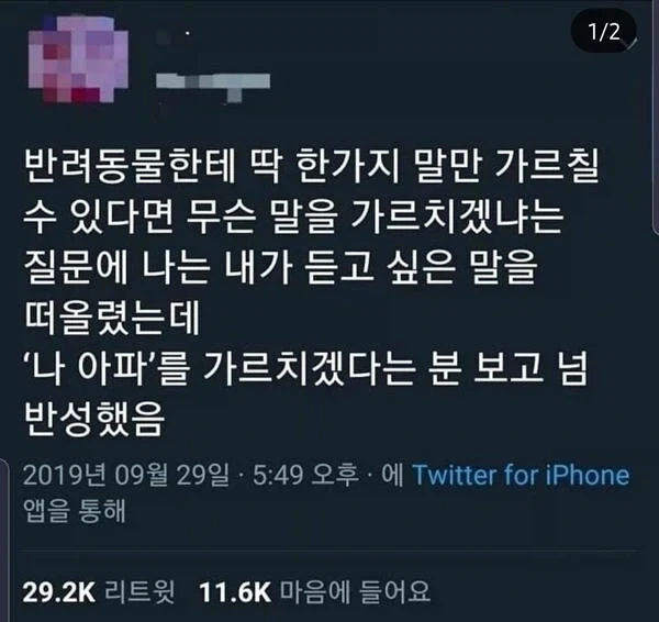 반려동물에게 사람 말을 딱 한마디만 가르쳐줄 수 있다면.jpg