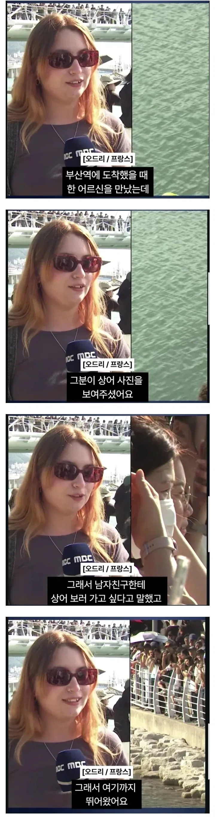 외국인 관광객한테도 소문나는 중인 부산 상어
