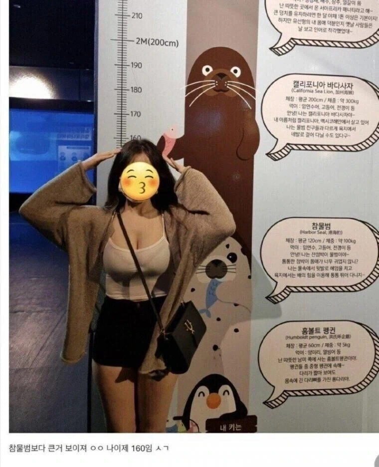 참물범 보다 키 큰게 자랑.jpg