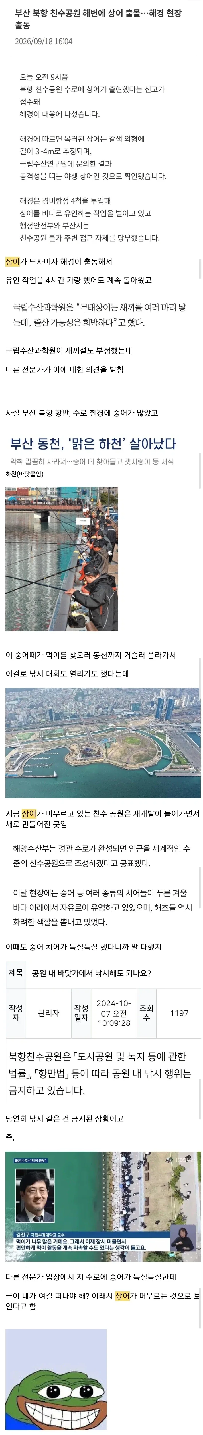 드디어 밝혀진 부산 상어가 머무르는 이유