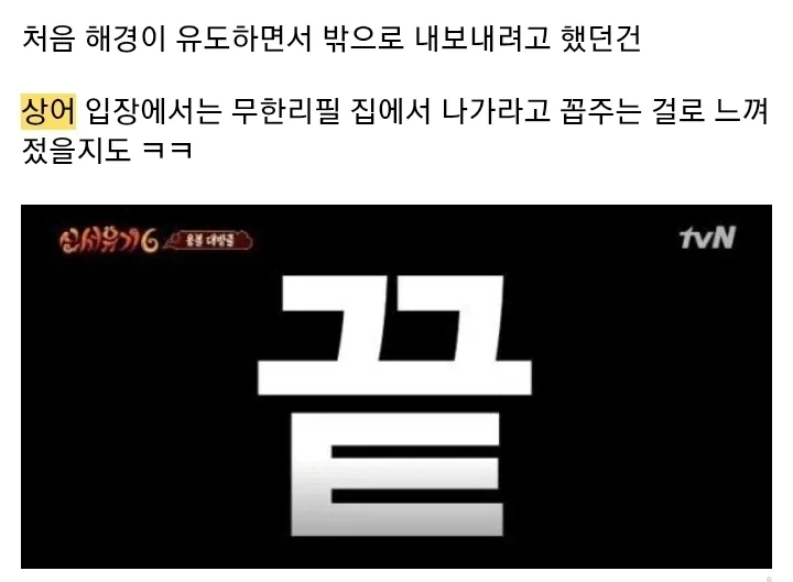 드디어 밝혀진 부산 상어가 머무르는 이유 - 이미지 2