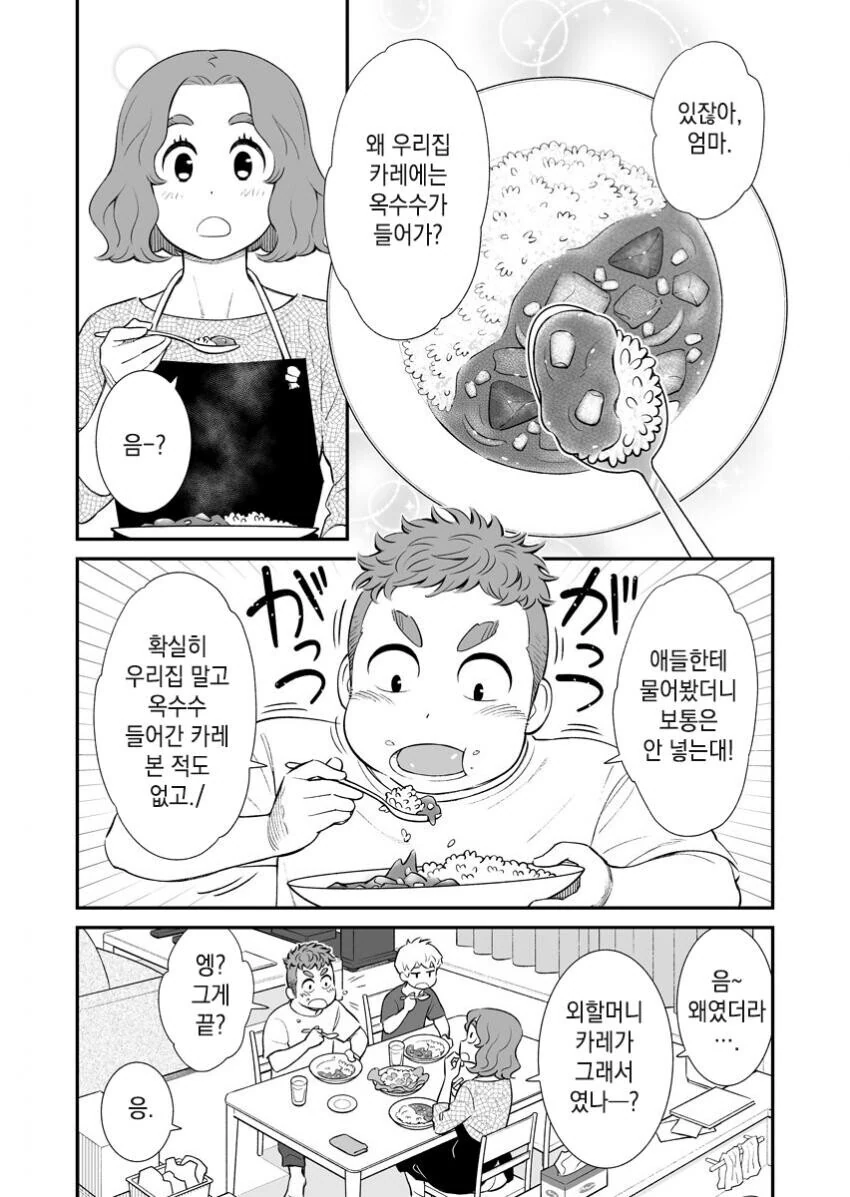 아들이 남친에게 카레 만들어달라고 하는 만화.manga
