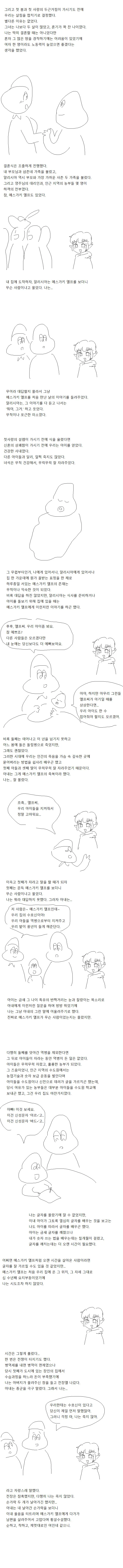 ㅁㅅㄱㅋ 엘프가 집에 눌러붙은 만화.manwha - 이미지 2