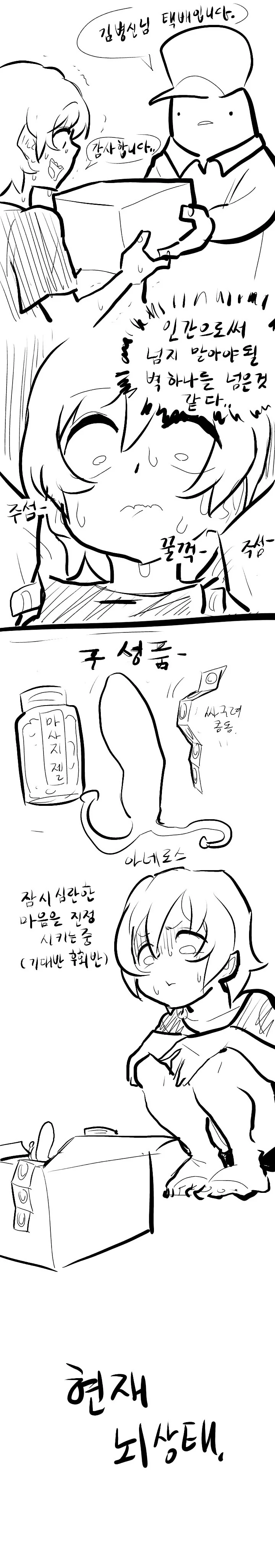 아네로스 써 본 후기 만화.manhwa