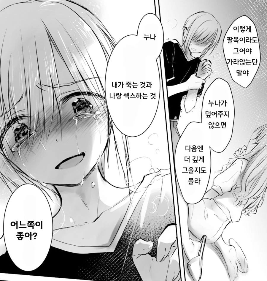 누나를 너무 사랑하는 남동생.manga