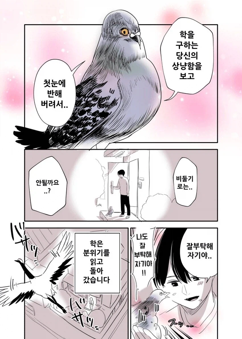 은혜를 갚지 못한 학.manga - 이미지 4