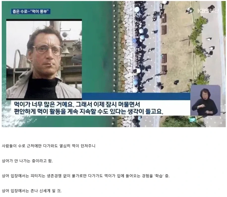 부산 상어 전문가 피셜