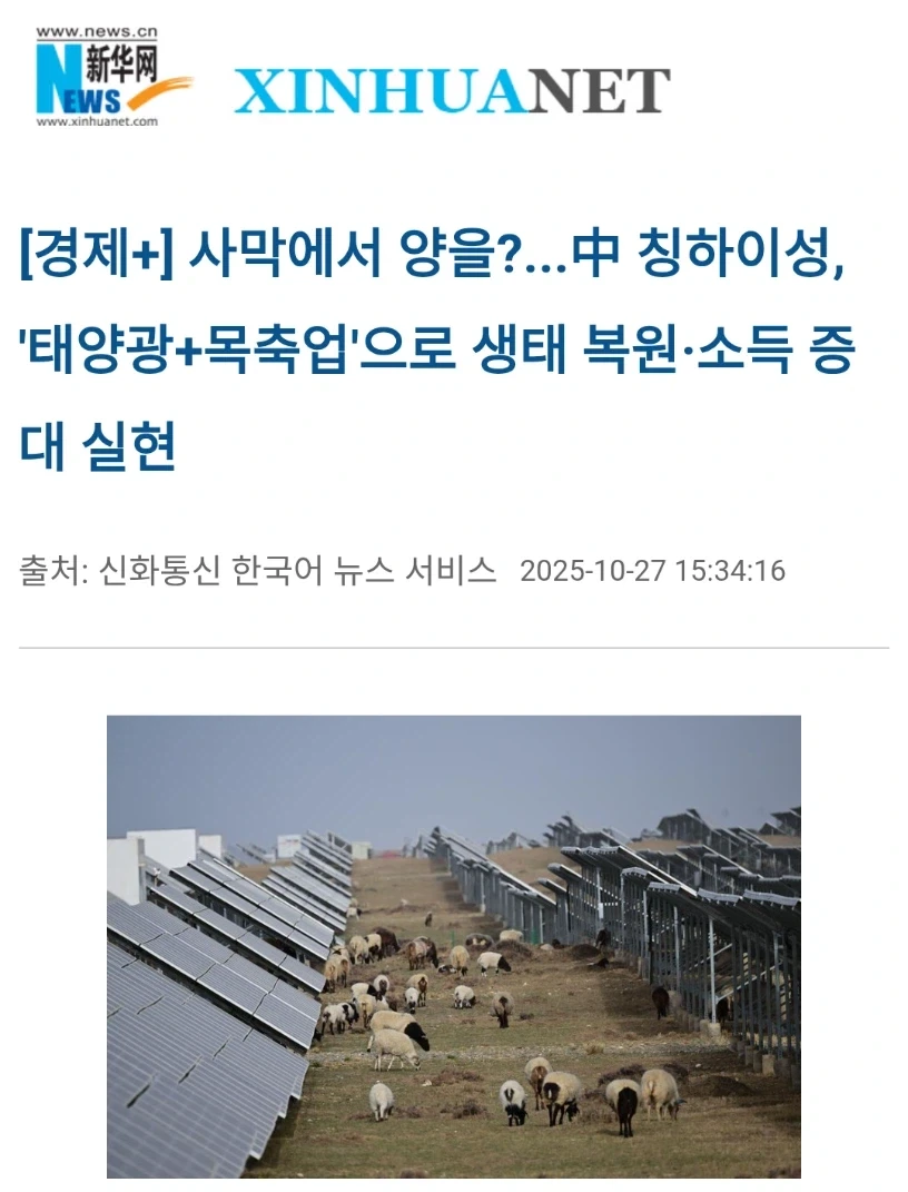 의외로 태양광 발전의 확대로 인해 발전하는 산업