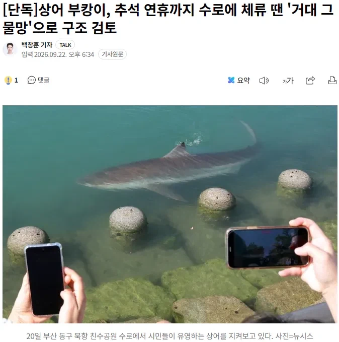 상어 부캉이, 추석 연휴까지 수로에 체류 땐 '거대 그물망'으로 구조 검토