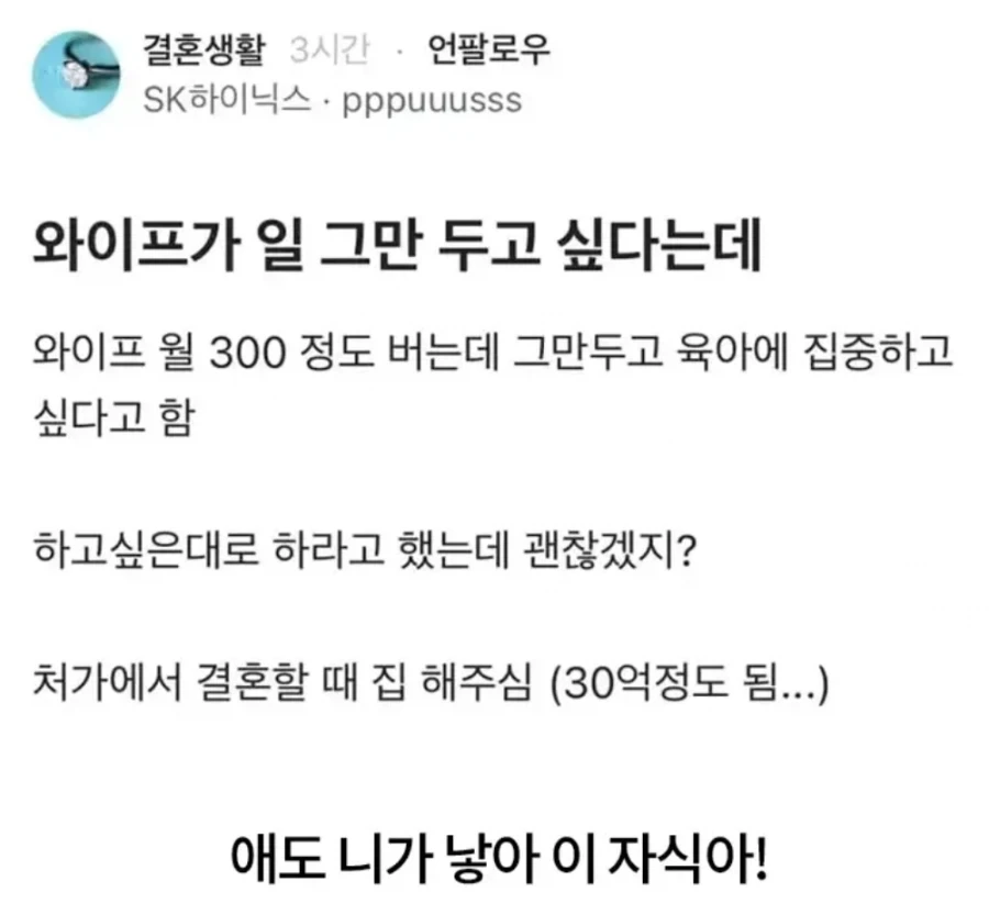 와이프가 일 그만 두고 싶다는데