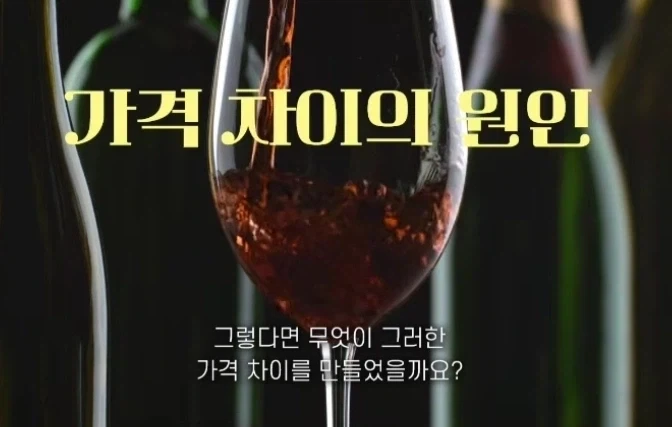 10만원 와인 vs 100만원 와인 - 이미지 5