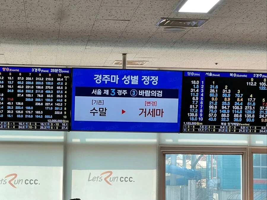 우마무스마 -> 우마무스메