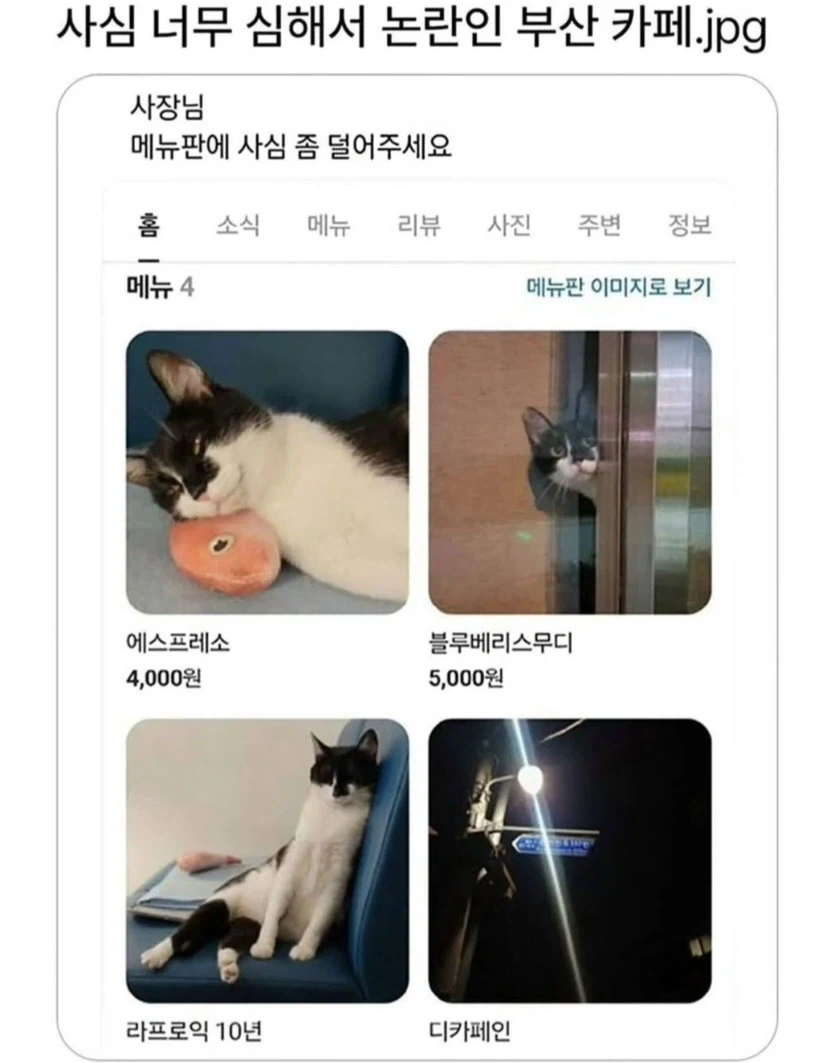 사심이 너무 심한 부산 카페