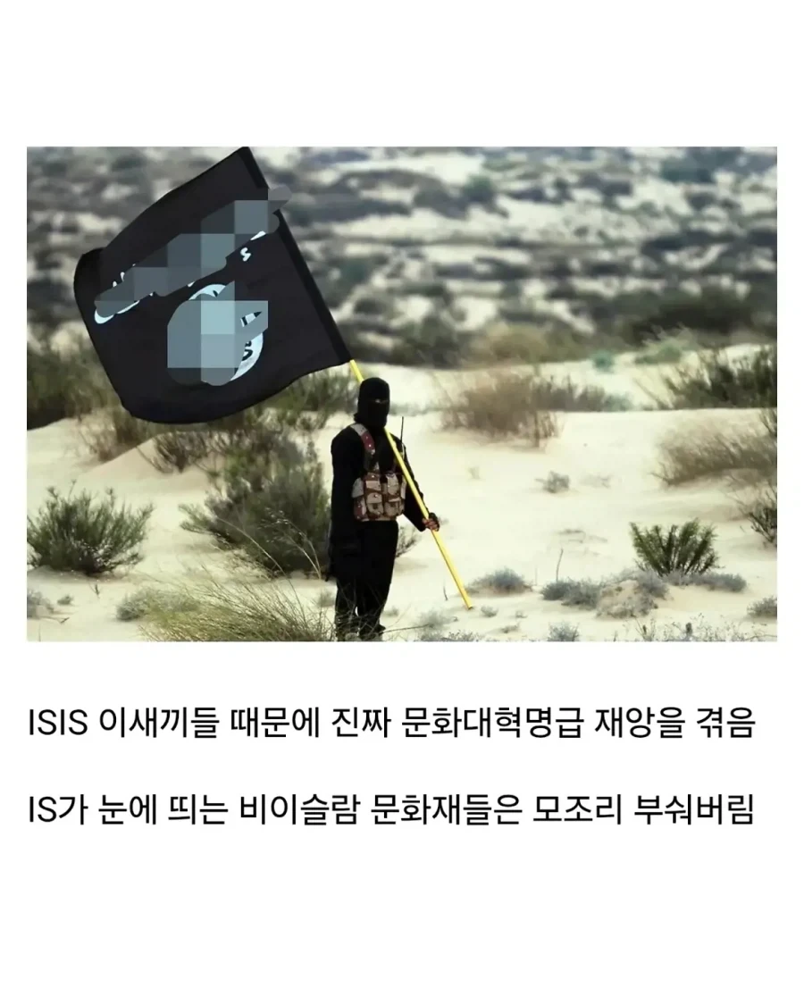 얼마전에 문화대혁명급 재앙을 겪은 나라.jpg - 이미지 2
