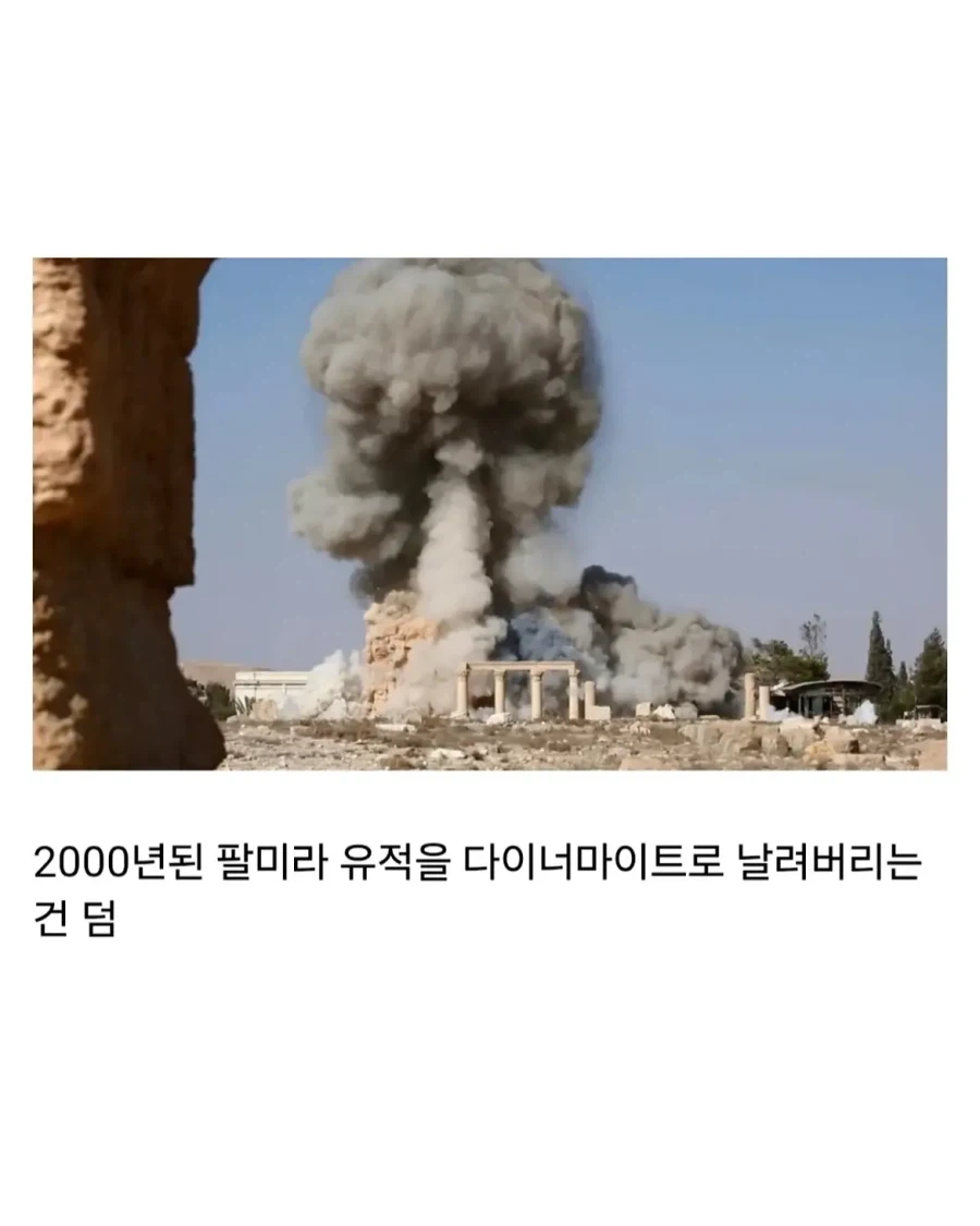 얼마전에 문화대혁명급 재앙을 겪은 나라.jpg - 이미지 5