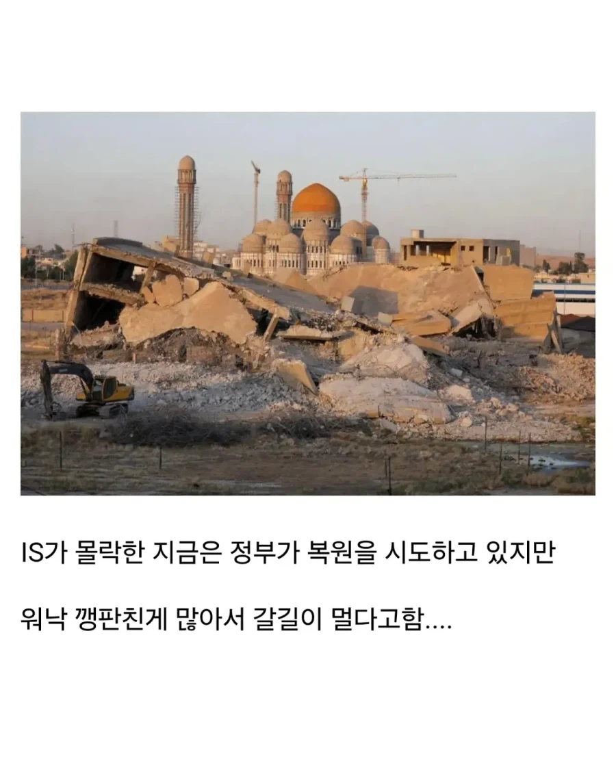 얼마전에 문화대혁명급 재앙을 겪은 나라.jpg - 이미지 8