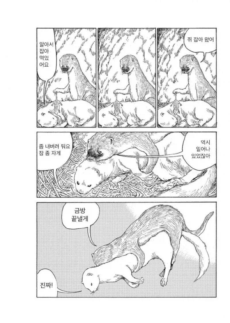 밤에 보기좋은 일본의요괴 카마이타치(낫든 족제비) 이야기 - 이미지 3