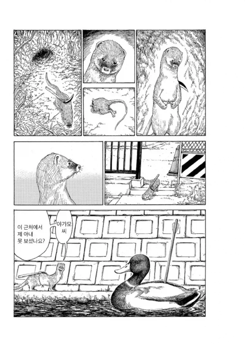 밤에 보기좋은 일본의요괴 카마이타치(낫든 족제비) 이야기 - 이미지 6