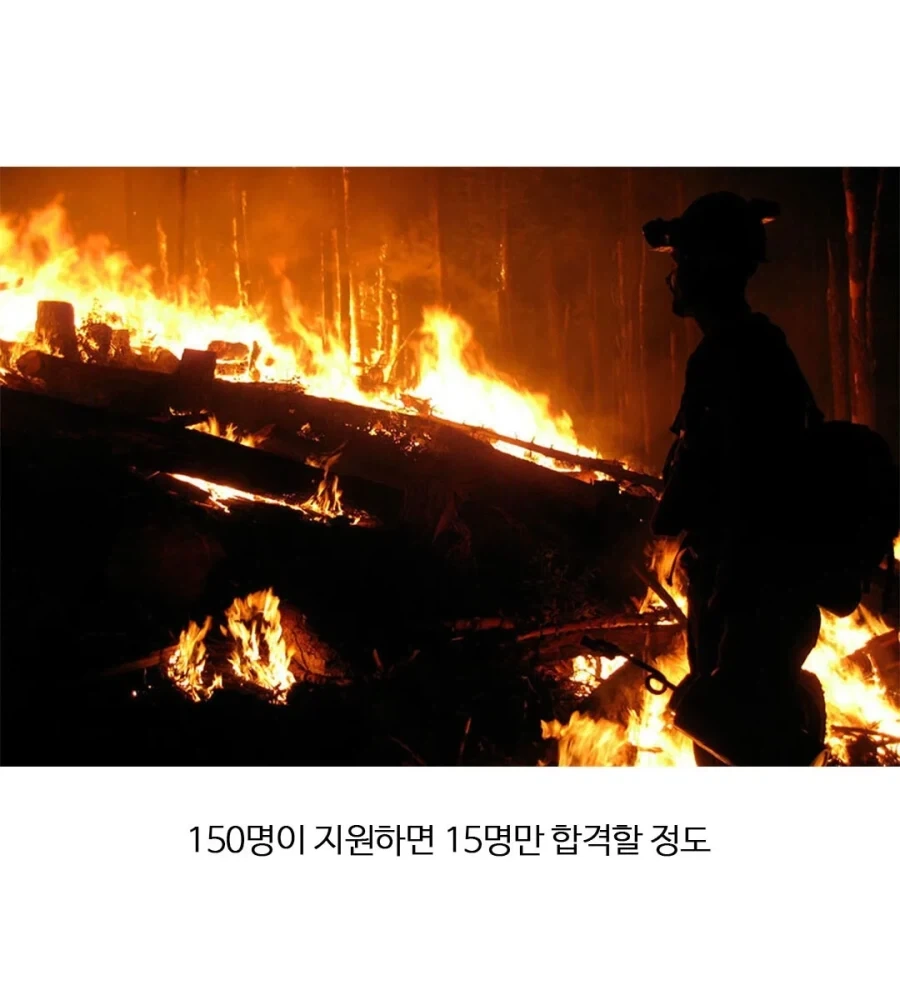 미국에서 엄청난 자랑이라는 직업.jpg - 이미지 2