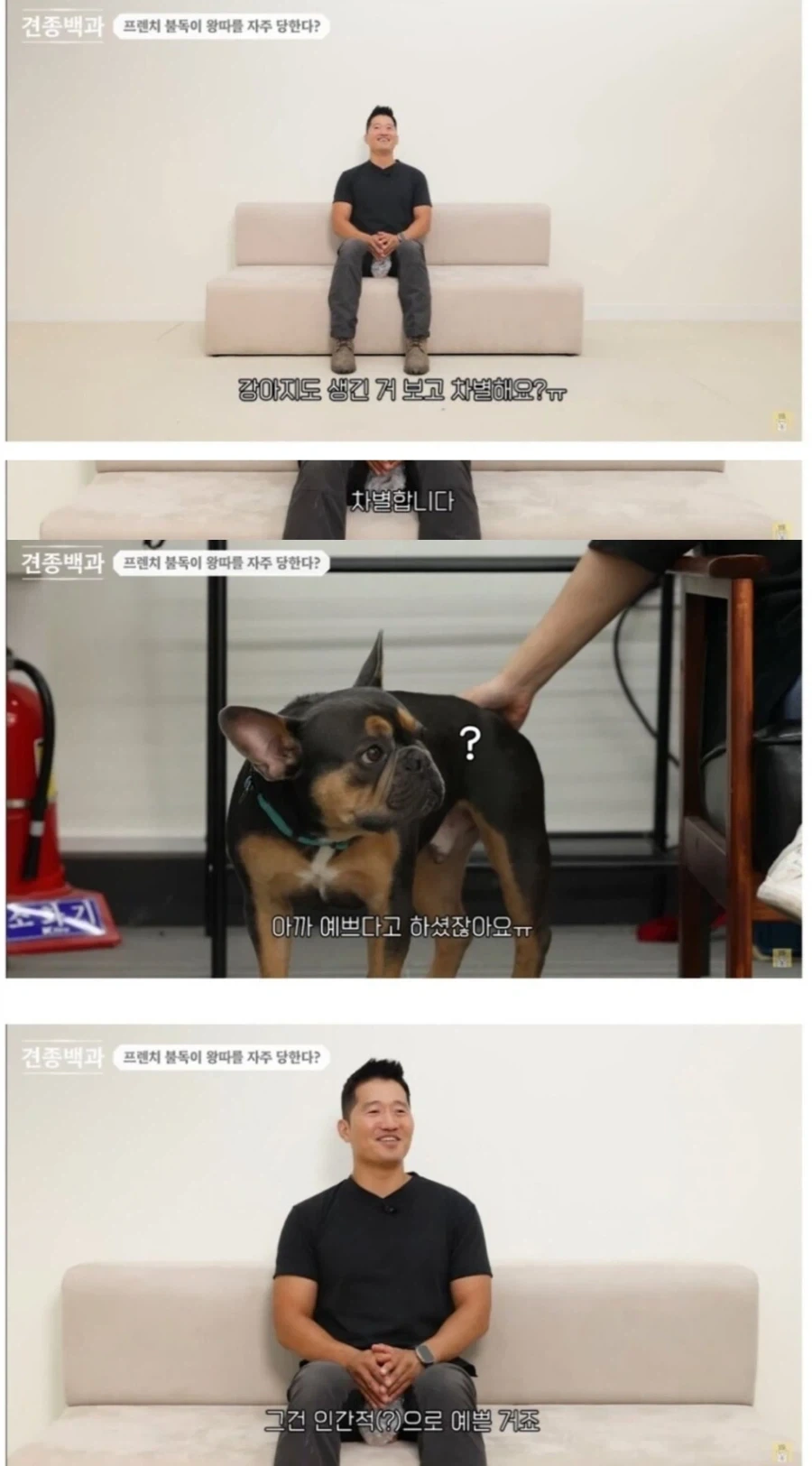 개도 외모로 차별하는가.jpg