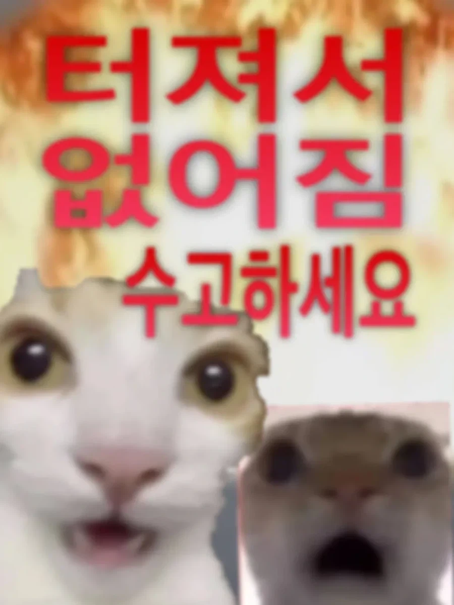 배그) 베트남이 한국을 불매한다고 했죠