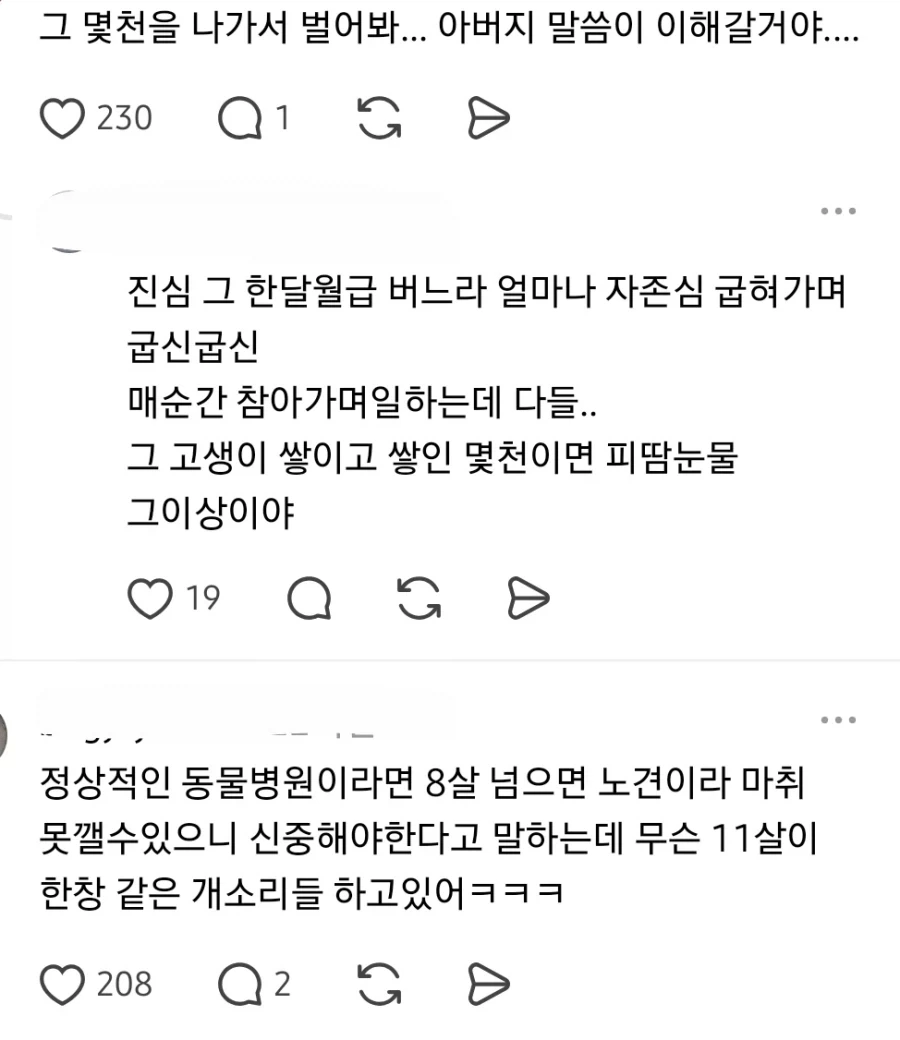 노견 수천만원드는 수술은 안시킨다는 아버지.jpg - 이미지 2